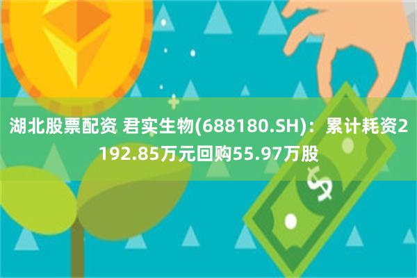 湖北股票配资 君实生物(688180.SH)：累计耗资2192.85万元回购55.97万股