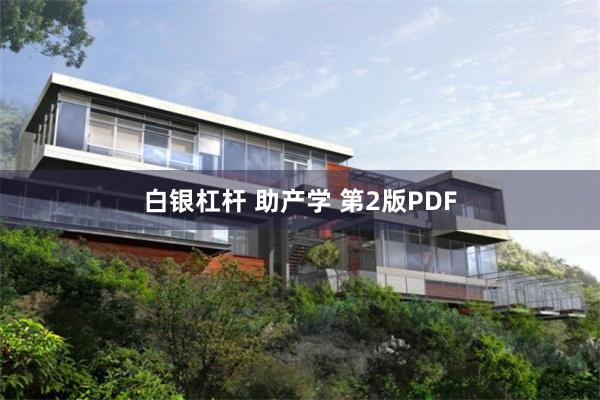 白银杠杆 助产学 第2版PDF