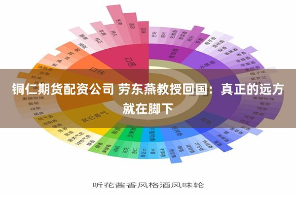 铜仁期货配资公司 劳东燕教授回国：真正的远方就在脚下