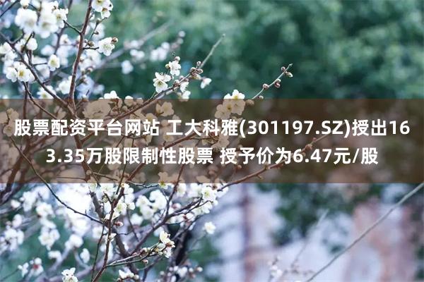 股票配资平台网站 工大科雅(301197.SZ)授出163.35万股限制性股票 授予价为6.47元/股