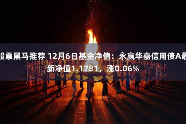 股票黑马推荐 12月6日基金净值：永赢华嘉信用债A最新净值1.1781，涨0.06%