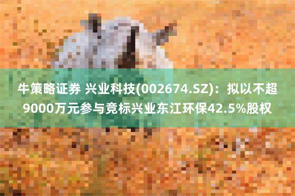 牛策略证券 兴业科技(002674.SZ)：拟以不超9000万元参与竞标兴业东江环保42.5%股权