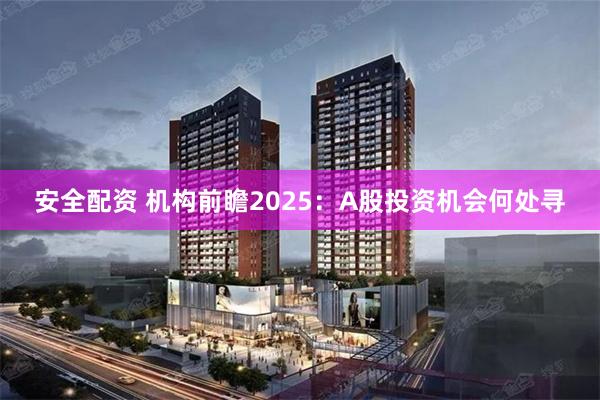 安全配资 机构前瞻2025：A股投资机会何处寻