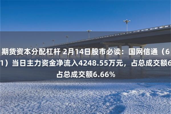 期货资本分配杠杆 2月14日股市必读：国网信通（600131）当日主力资金净流入4248.55万元，占总成交额6.66%