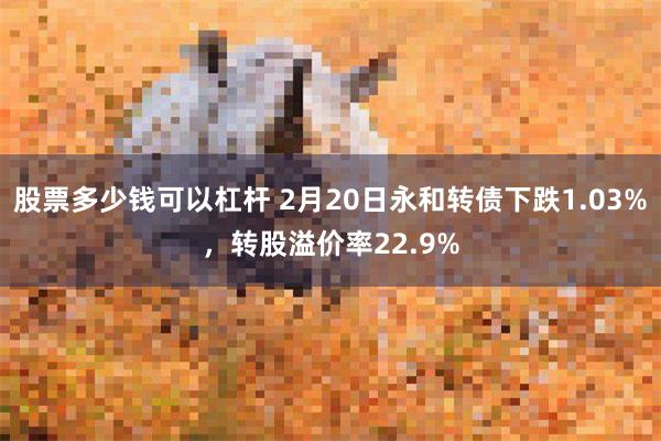 股票多少钱可以杠杆 2月20日永和转债下跌1.03%，转股溢价率22.9%