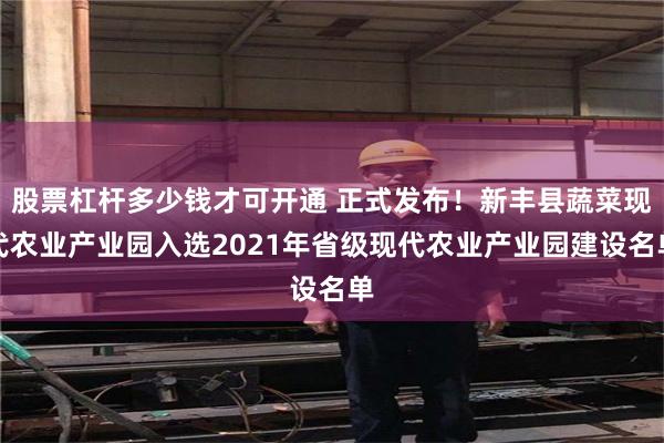 股票杠杆多少钱才可开通 正式发布！新丰县蔬菜现代农业产业园入选2021年省级现代农业产业园建设名单